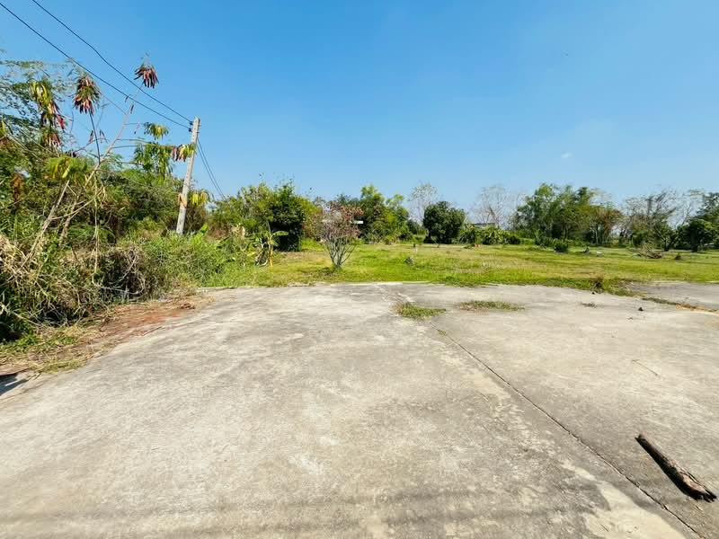 ที่ดิน พร้อมบ้านเดี่ยว 2 ชั้น ถนนรังสิต-นครนายก ตำบลบึงน้ำรักษ์ อำเภอธัญบุรี จังหวัดปทุมธานี, ปทุมธานี, รังสิต นครนายก, บึงน้ำรักษ์, ธัญบุรี, ปทุมธานี, 5,996 ตร.ม., ที่ดิน ขาย, โดย ภัทรนัน อิศรางกูร ณ อยุธยา, 500187624 - DDproperty.com