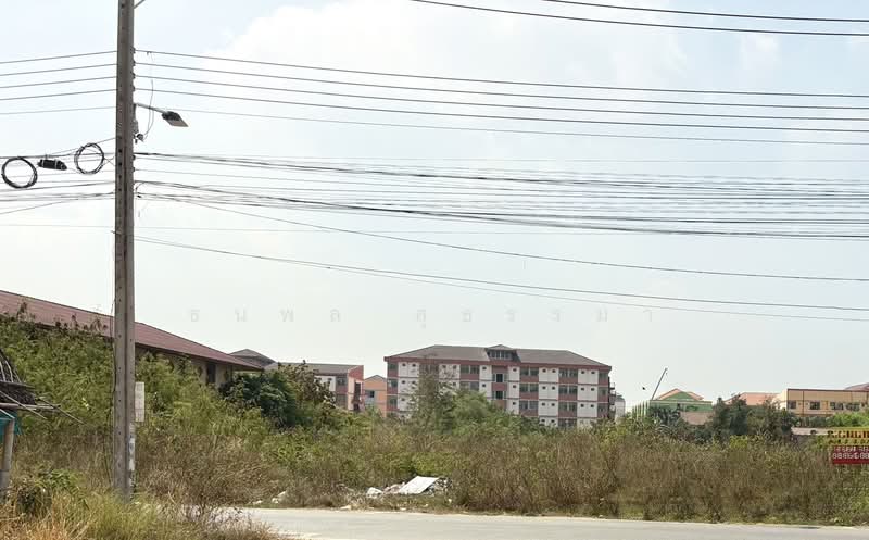 เมืองชลบุรี, Chon Buri (Pattaya), Don Hualo, Muang Chon Buri, Chon Buri (Pattaya), , 2,000 sqm, Land For Sale, by ธนพล สุธรรมา, 500187630 - DDproperty.com