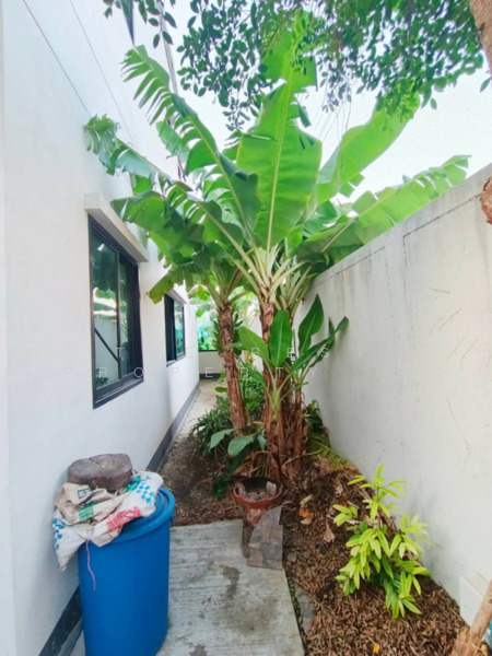 มายกรีนแอท เวลโกรว์, Chachoengsao, Bang Samak, Bang Pakong, Chachoengsao, 4 Bedrooms, 133 sqm, Townhouse For Sale, by The Best Property โบ, 500187682 - DDproperty.com