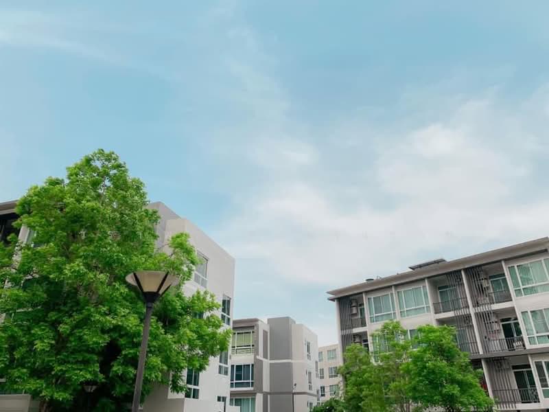 Casa Condo CMU : คาซ่า คอนโด @ซีเอ็มยู, เชียงใหม่, เชียงใหม่  เมืองเชียงใหม่  สุเทพ, สุเทพ, เมืองเชียงใหม่, เชียงใหม่, 45 ตร.ม., คอนโด ขาย, โดย วราพร ตางจงราช, 500187694 - DDproperty.com