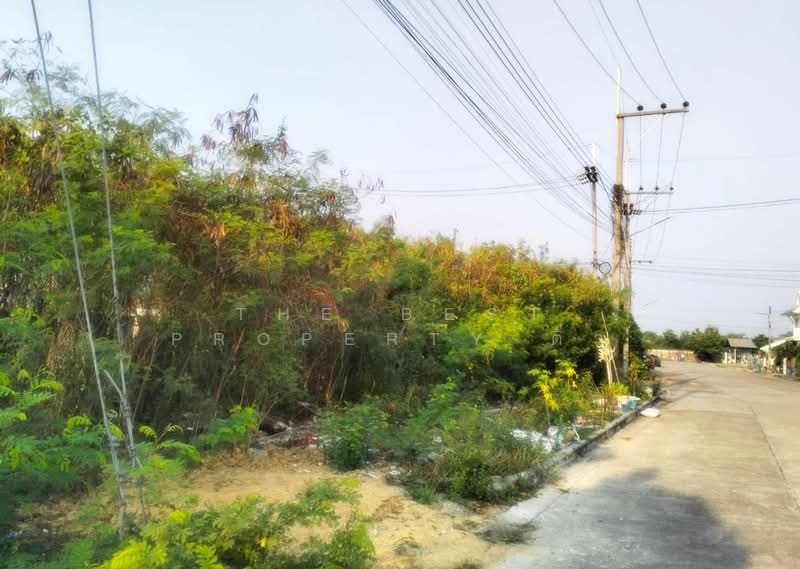 ขาย - ที่ดินสามควายเผือก นครปฐม, นครปฐม