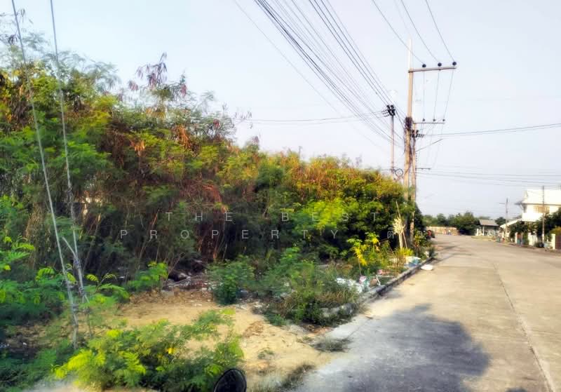 ขาย - ที่ดินสามควายเผือก นครปฐม, นครปฐม