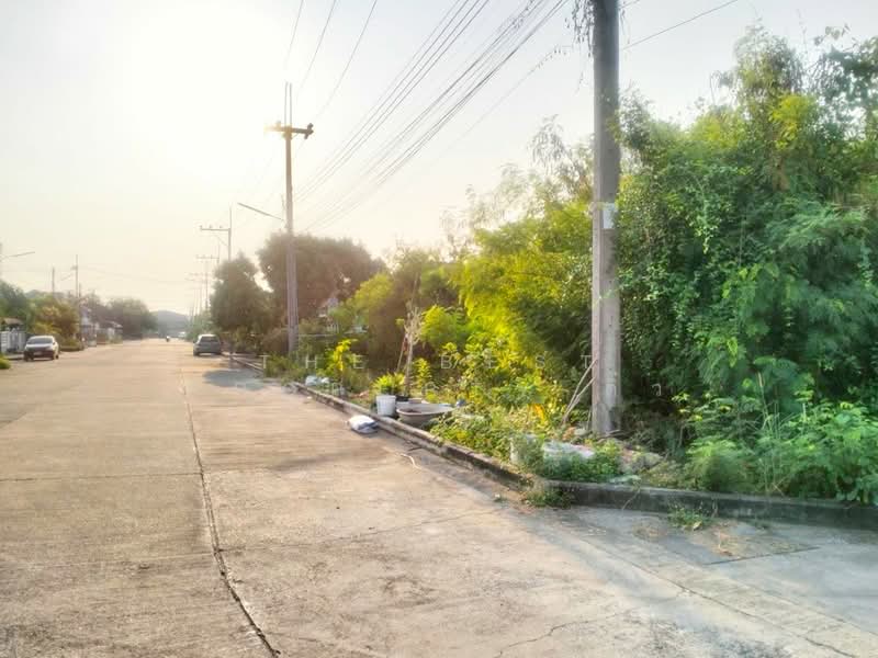 ขาย - ที่ดินสามควายเผือก นครปฐม, นครปฐม