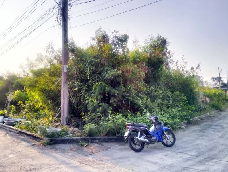 ที่ดินสามควายเผือก นครปฐม, Nakhon Pathom, Sam Khwai Phuak, Muang Nakhon Pathom, Nakhon Pathom, , 304 sqm, Land For Sale, by The Best Property ติ๋ว, 500187750 - DDproperty.com