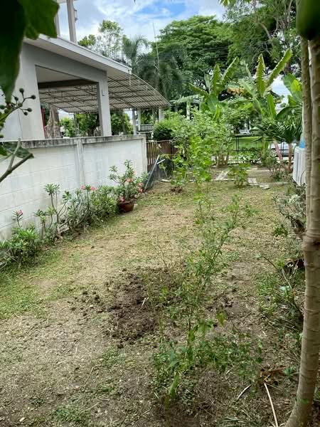 Pruklada Bangna, Samut Prakan, Bangna-Trad Rd., Bang Bo, Bang Bo, Samut Prakan, 3 Bedrooms, 140 sqm, Single Detached House For Rent, by Kwanjira Konboon, 500187762 - DDproperty.com