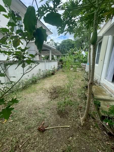 Pruklada Bangna : พฤกษ์ลดา บางนา, สมุทรปราการ, ถ.บางนา-ตราด, บางบ่อ, บางบ่อ, สมุทรปราการ, 140 ตร.ม., บ้านเดี่ยว ให้เช่า, โดย Kwanjira Konboon, 500187762 - DDproperty.com