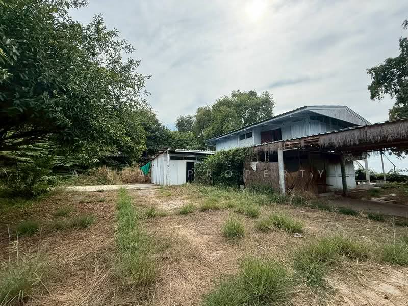 ที่ดิน ติดทะเล ศรีราชา บางพระ, Chon Buri (Pattaya), Bang Phra, Si Racha, Chon Buri (Pattaya), , 11,864 sqm, Land For Sale, by A.T.A. Property, 500187780 - DDproperty.com