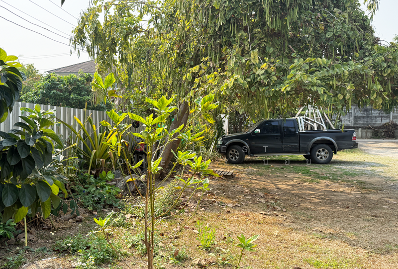 ขาย - ที่ดินแม่เหียะ เชียงใหม่, เชียงใหม่