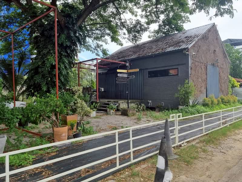 ขายที่ดิน ลาดพร้าว 81 ใกล้รถไฟฟ้าสายสีเหลือง สถานีลาดพร้าว 83 ขนาด 103 ตร.ว. แปลงมุม, Bangkok, Wang Thonglang, Wang Thonglang, Bangkok, , 412 sqm, Land For Sale, by คุณ ณิชาภา, 500187811 - DDproperty.com