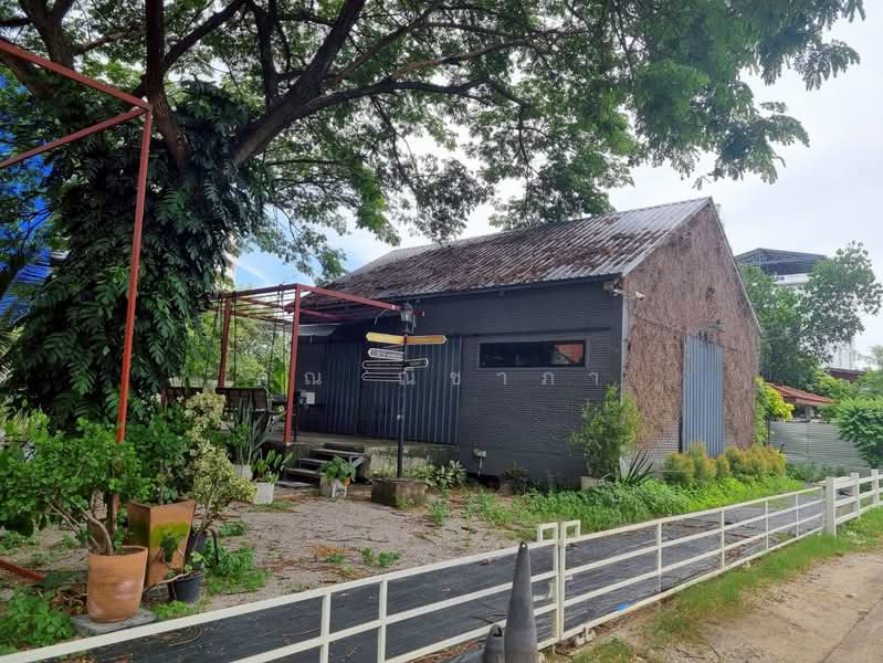 ขายที่ดิน ลาดพร้าว 81 ใกล้รถไฟฟ้าสายสีเหลือง สถานีลาดพร้าว 83 ขนาด 103 ตร.ว. แปลงมุม, Bangkok, Wang Thonglang, Wang Thonglang, Bangkok, , 412 sqm, Land For Sale, by คุณ ณิชาภา, 500187811 - DDproperty.com