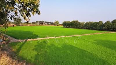 ขาย - ที่ดินอยุธยา อ.บางปะหัน ต.เสาธง, พระนครศรีอยุธยา