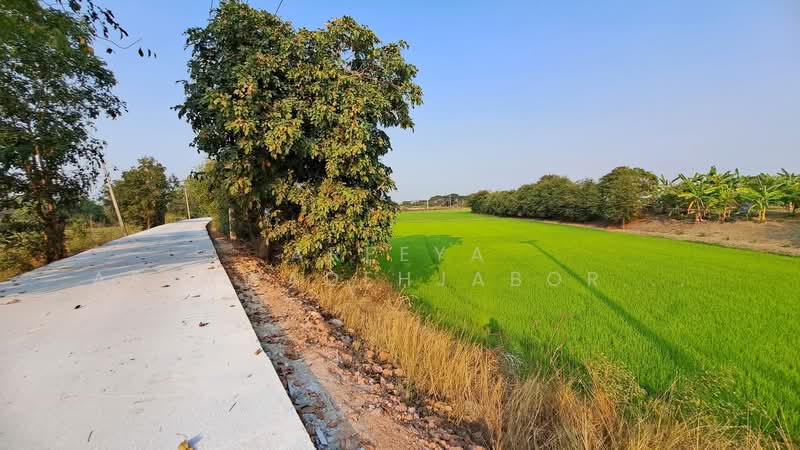 Land at Ayutthaya Thailand, Phra Nakhon Si Ayutthaya, Sao Thong, Bang Pahan, Phra Nakhon Si Ayutthaya, , 5,088 sqm, Land For Sale, by Areeya Assawadehjabordint, 500187832 - DDproperty.com