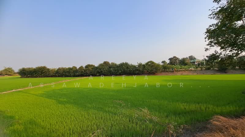 ที่ดินอยุธยา อ.บางปะหัน ต.เสาธง, พระนครศรีอยุธยา, เสาธง, บางปะหัน, พระนครศรีอยุธยา, 5,088 ตร.ม., ที่ดิน ขาย, โดย Areeya Assawadehjabordint, 500187832 - DDproperty.com