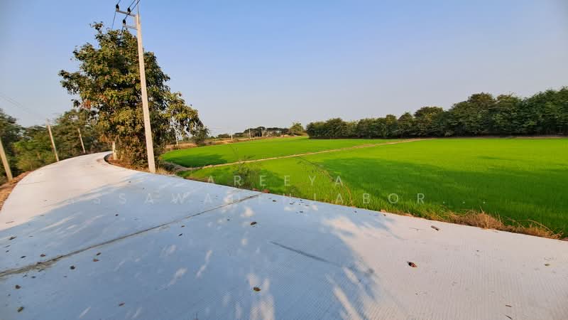 Land at Ayutthaya Thailand, Phra Nakhon Si Ayutthaya, Sao Thong, Bang Pahan, Phra Nakhon Si Ayutthaya, , 5,088 sqm, Land For Sale, by Areeya Assawadehjabordint, 500187832 - DDproperty.com