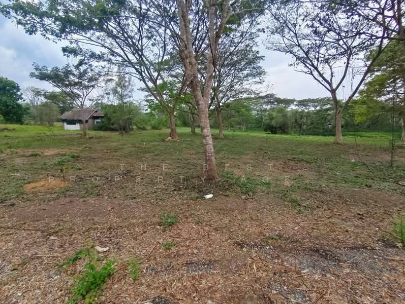 Rabbiz Hill Resort, Chanthaburi, Kaeng Hang Maeo, Kaeng Hang Maeo, Chanthaburi, , 3,500 sqm, Land For Sale, by The Best Property Agent หยก, 500187844 - DDproperty.com