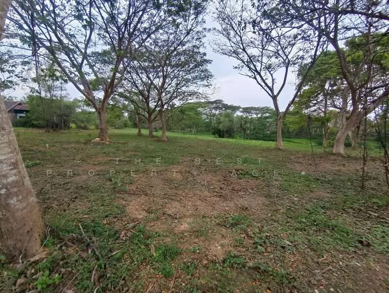 Rabbiz Hill Resort, Chanthaburi, Kaeng Hang Maeo, Kaeng Hang Maeo, Chanthaburi, , 3,500 sqm, Land For Sale, by The Best Property Agent หยก, 500187844 - DDproperty.com
