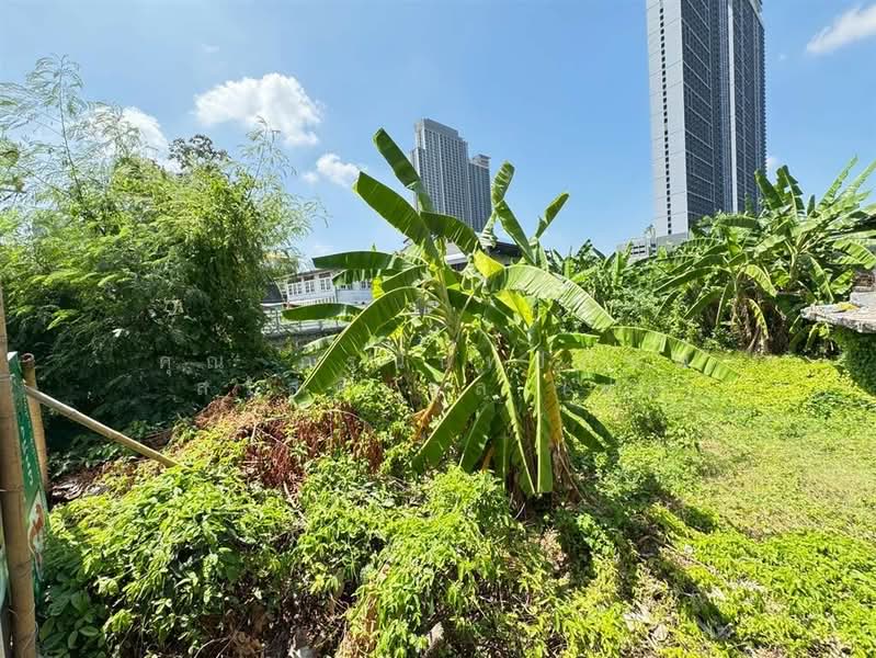 ที่ดินเปล่า 123 ตร.ว. ซอยนนทบุรี17 ถนนรัตนาธิเบศร์ ถนนสนามบินน้ำ เมืองนนทบุรี นนทบุรี, Nonthaburi, Bang Kra So, Muang Nonthaburi, Nonthaburi, , 492 sqm, Land For Sale, by คุณ ภรนันท์ปภัษฬ์ สวัสดิยกุล (ปู), 500187859 - DDproperty.com