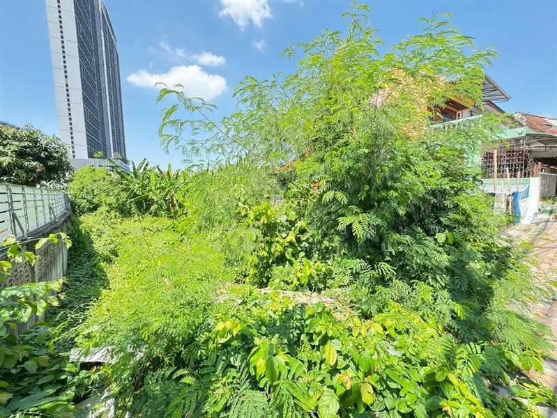 ที่ดินเปล่า 123 ตร.ว. ซอยนนทบุรี17 ถนนรัตนาธิเบศร์ ถนนสนามบินน้ำ เมืองนนทบุรี นนทบุรี, Nonthaburi, Bang Kra So, Muang Nonthaburi, Nonthaburi, , 492 sqm, Land For Sale, by คุณ ภรนันท์ปภัษฬ์ สวัสดิยกุล (ปู), 500187859 - DDproperty.com