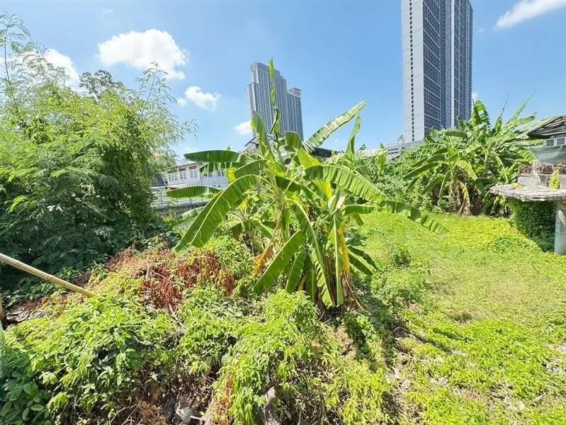 ที่ดินเปล่า 123 ตร.ว. ซอยนนทบุรี17 ถนนรัตนาธิเบศร์ ถนนสนามบินน้ำ เมืองนนทบุรี นนทบุรี, Nonthaburi, Bang Kra So, Muang Nonthaburi, Nonthaburi, , 492 sqm, Land For Sale, by คุณ ภรนันท์ปภัษฬ์ สวัสดิยกุล (ปู), 500187859 - DDproperty.com