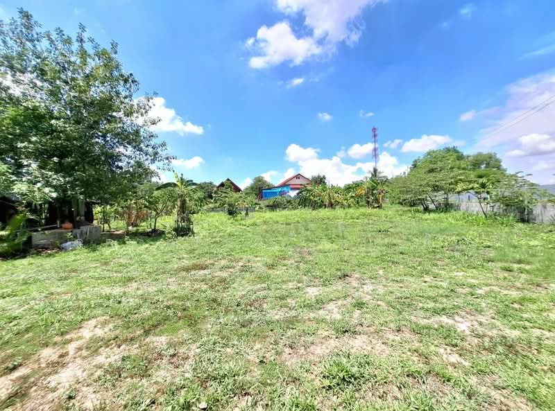 For Sale - ที่ดินศรีสมเด็จ ร้อยเอ็ด, Roi Et