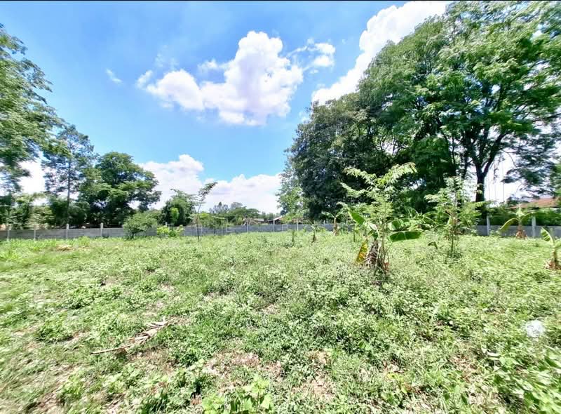 For Sale - ที่ดินศรีสมเด็จ ร้อยเอ็ด, Roi Et