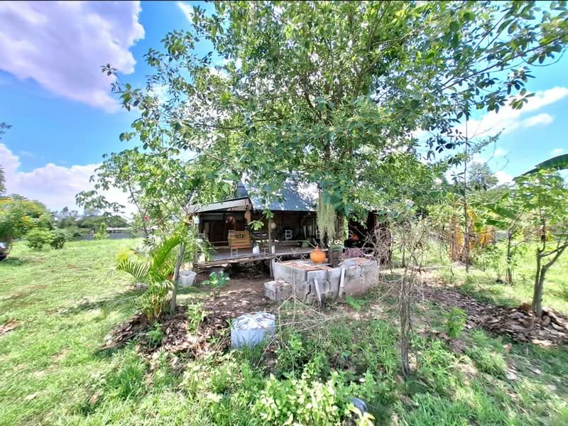 For Sale - ที่ดินศรีสมเด็จ ร้อยเอ็ด, Roi Et