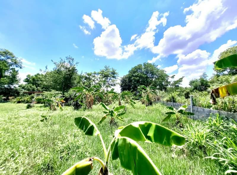 For Sale - ที่ดินศรีสมเด็จ ร้อยเอ็ด, Roi Et