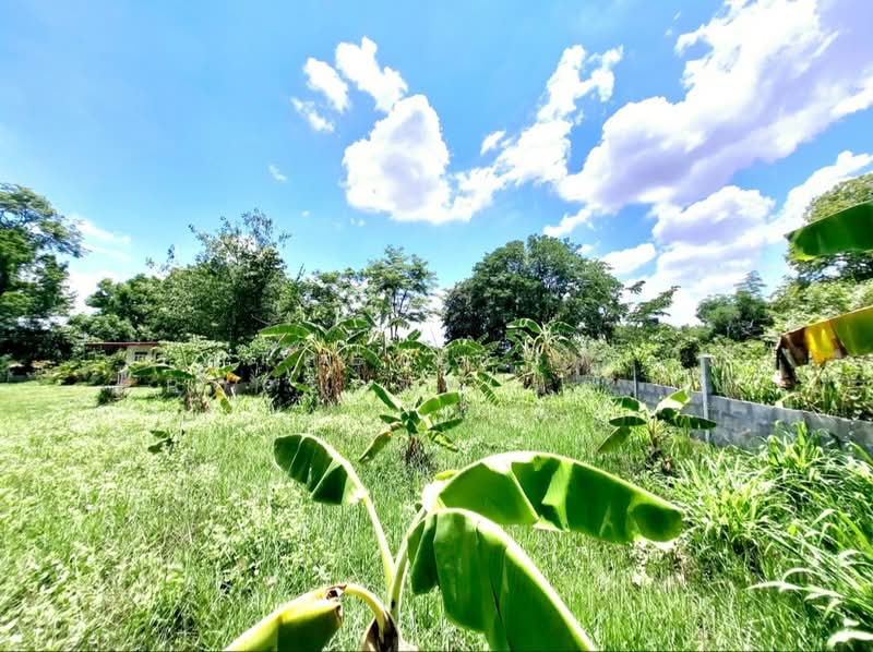 For Sale - ที่ดินศรีสมเด็จ ร้อยเอ็ด, Roi Et