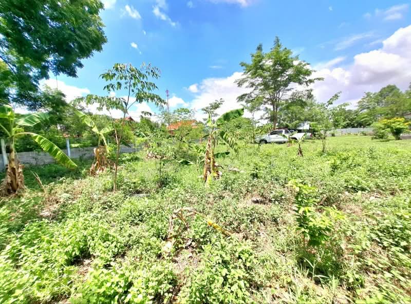 For Sale - ที่ดินศรีสมเด็จ ร้อยเอ็ด, Roi Et