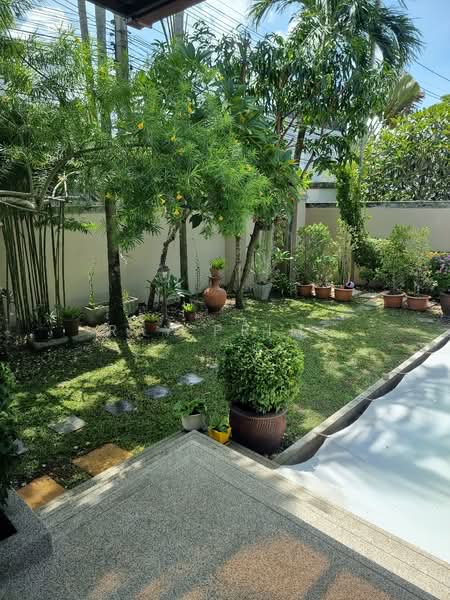 rawai, Phuket, Rawai, Muang Phuket, Phuket, 2 Bedrooms, 360 sqm, Villa For Sale, by Ray Prime, 500187941 - DDproperty.com