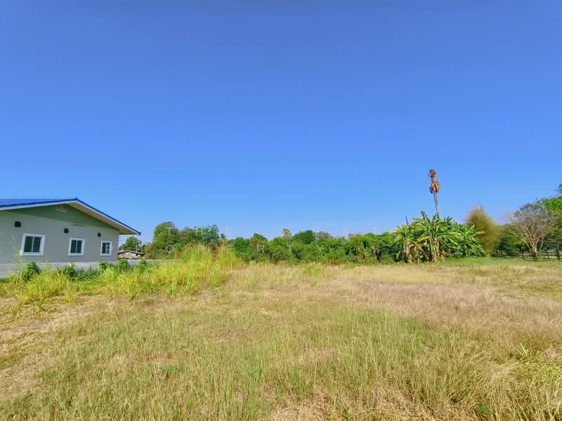 ที่ดินบ้านยาง นครปฐม, Nakhon Pathom, Ban Yang, Muang Nakhon Pathom, Nakhon Pathom, , 896 sqm, Land For Sale, by The Best Property หมิว, 500187954 - DDproperty.com