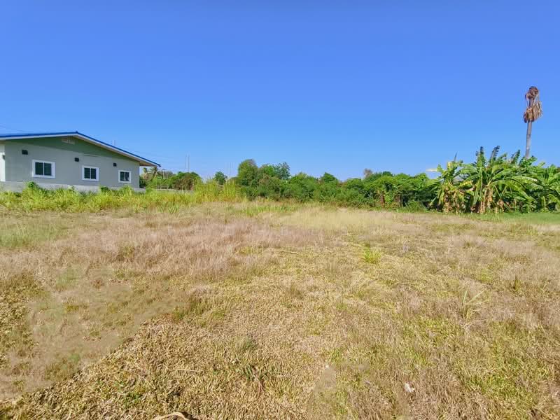 ที่ดินบ้านยาง นครปฐม, Nakhon Pathom, Ban Yang, Muang Nakhon Pathom, Nakhon Pathom, , 896 sqm, Land For Sale, by The Best Property หมิว, 500187954 - DDproperty.com
