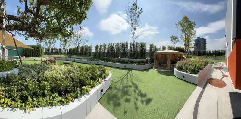 THE MUVE Kaset, Bangkok, Soi Ngamwongwan 54 Yak 3, Lat Yao, Chatuchak, Bangkok, 1 Bedroom, 25 sqm, Condo For Rent, by กำพนธ์ อัศวศิริวิลาศ, 500188119 - DDproperty.com