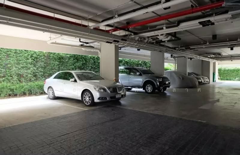 Tempo Quad Saphanmai, Bangkok, Theparak Road, Anusaowari, Bang Khen, Bangkok, 1 Bedroom, 30 sqm, Condo For Rent, by กำพนธ์ อัศวศิริวิลาศ, 500188121 - DDproperty.com