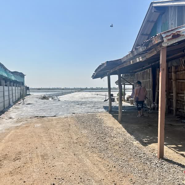 Land for Sale | Salt Farm Investment, Phetchaburi, Laem Phak Bia, Ban Laem, Phetchaburi, , 28,000 sqm, Business For Sale, by อัจฉรา พรหมคำ, 500188155 - DDproperty.com