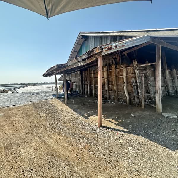 Land for Sale | Salt Farm Investment, Phetchaburi, Laem Phak Bia, Ban Laem, Phetchaburi, , 28,000 sqm, Business For Sale, by อัจฉรา พรหมคำ, 500188155 - DDproperty.com