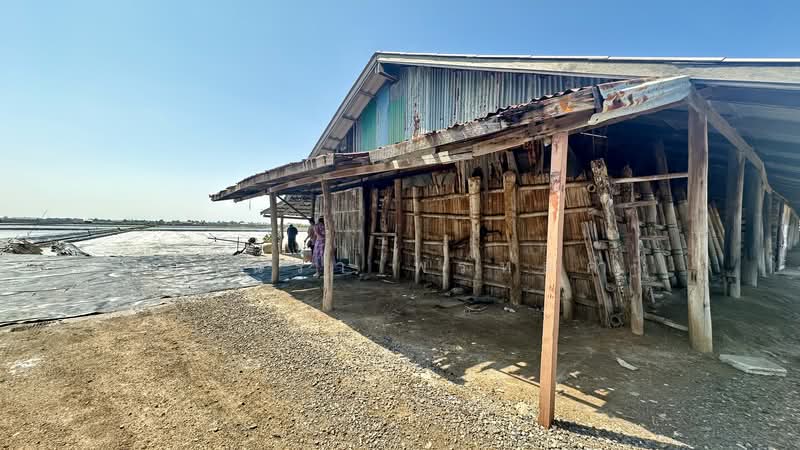 ขาย - แหลมผักเบี้ย, เพชรบุรี