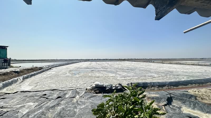 Land for Sale | Salt Farm Investment, Phetchaburi, Laem Phak Bia, Ban Laem, Phetchaburi, , 28,000 sqm, Business For Sale, by อัจฉรา พรหมคำ, 500188155 - DDproperty.com