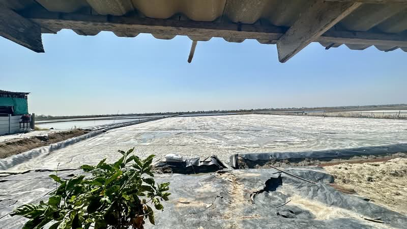 Land for Sale | Salt Farm Investment, Phetchaburi, Laem Phak Bia, Ban Laem, Phetchaburi, , 28,000 sqm, Business For Sale, by อัจฉรา พรหมคำ, 500188155 - DDproperty.com