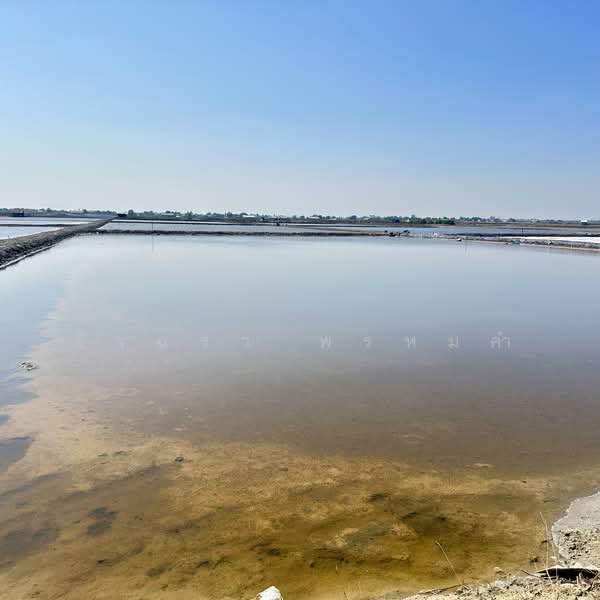 Land for Sale | Salt Farm Investment, Phetchaburi, Laem Phak Bia, Ban Laem, Phetchaburi, , 28,000 sqm, Business For Sale, by อัจฉรา พรหมคำ, 500188155 - DDproperty.com