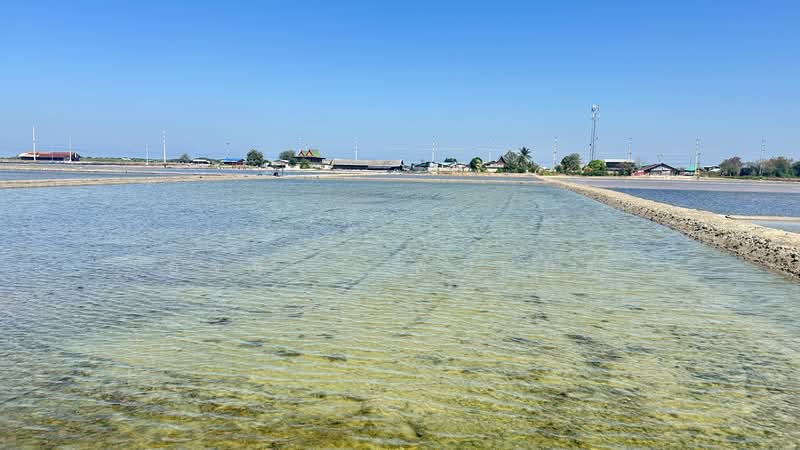 Land for Sale | Salt Farm Investment, Phetchaburi, Laem Phak Bia, Ban Laem, Phetchaburi, , 28,000 sqm, Business For Sale, by อัจฉรา พรหมคำ, 500188155 - DDproperty.com