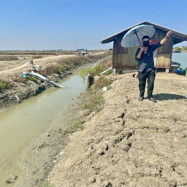 Land for Sale | Salt Farm Investment, Phetchaburi, Laem Phak Bia, Ban Laem, Phetchaburi, , 28,000 sqm, Business For Sale, by อัจฉรา พรหมคำ, 500188155 - DDproperty.com