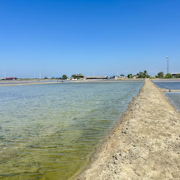 Land for Sale | Salt Farm Investment, Phetchaburi, Laem Phak Bia, Ban Laem, Phetchaburi, , 28,000 sqm, Business For Sale, by อัจฉรา พรหมคำ, 500188155 - DDproperty.com