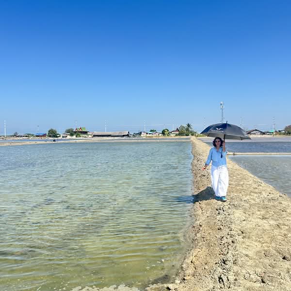 Land for Sale | Salt Farm Investment, Phetchaburi, Laem Phak Bia, Ban Laem, Phetchaburi, , 28,000 sqm, Business For Sale, by อัจฉรา พรหมคำ, 500188155 - DDproperty.com