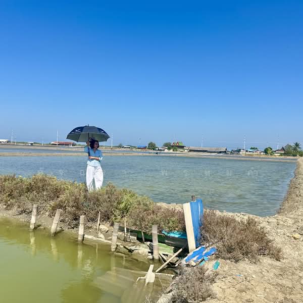 Land for Sale | Salt Farm Investment, Phetchaburi, Laem Phak Bia, Ban Laem, Phetchaburi, , 28,000 sqm, Business For Sale, by อัจฉรา พรหมคำ, 500188155 - DDproperty.com