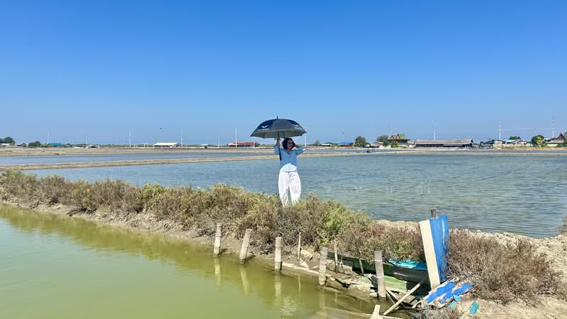 Land for Sale | Salt Farm Investment, Phetchaburi, Laem Phak Bia, Ban Laem, Phetchaburi, , 28,000 sqm, Business For Sale, by อัจฉรา พรหมคำ, 500188155 - DDproperty.com