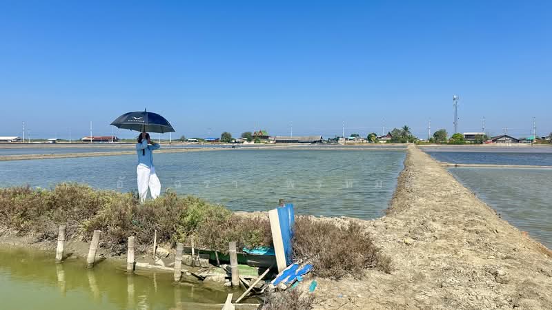 Land for Sale | Salt Farm Investment, Phetchaburi, Laem Phak Bia, Ban Laem, Phetchaburi, , 28,000 sqm, Business For Sale, by อัจฉรา พรหมคำ, 500188155 - DDproperty.com