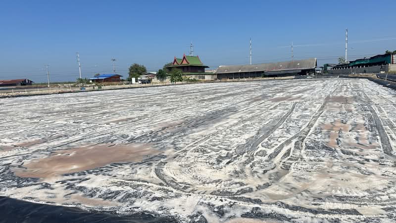 Land for Sale | Salt Farm Investment, Phetchaburi, Laem Phak Bia, Ban Laem, Phetchaburi, , 28,000 sqm, Business For Sale, by อัจฉรา พรหมคำ, 500188155 - DDproperty.com