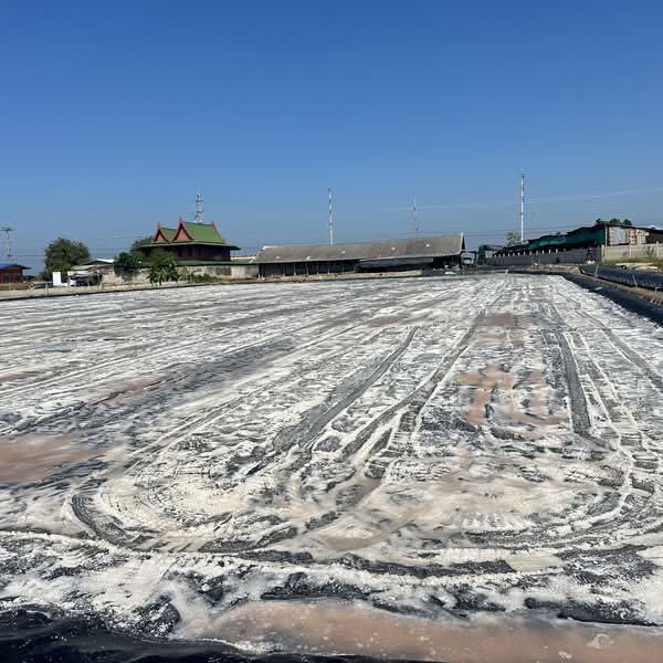 Land for Sale | Salt Farm Investment, Phetchaburi, Laem Phak Bia, Ban Laem, Phetchaburi, , 28,000 sqm, Business For Sale, by อัจฉรา พรหมคำ, 500188155 - DDproperty.com