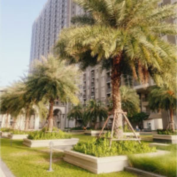 Manor Sanambinnam, Nonthaburi, 557 Nonthaburi Road, Bang Kra So, Muang Nonthaburi, Nonthaburi, 1 Bedroom, 27 sqm, Condo For Sale, by ธนสร พรมโสภา, 500188232 - DDproperty.com